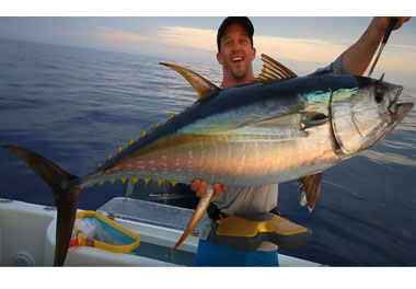 Yellowfin_Tuna